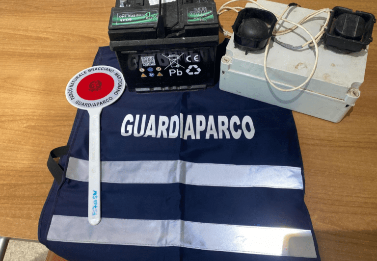 immagine-2025-11-17-183754 (1)