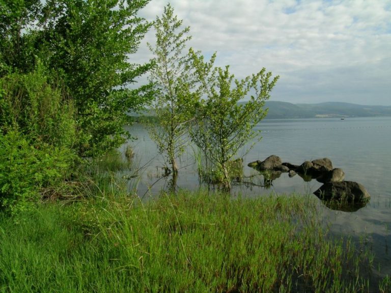 lago_di_bracciano_archivio_fotografico_parco_regionale_bracciano_martignano_243
