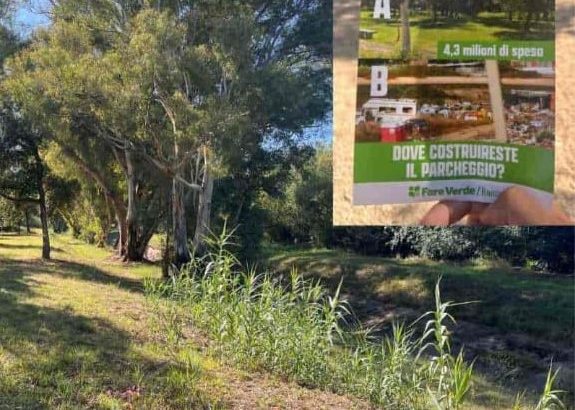 acilia dragona verde