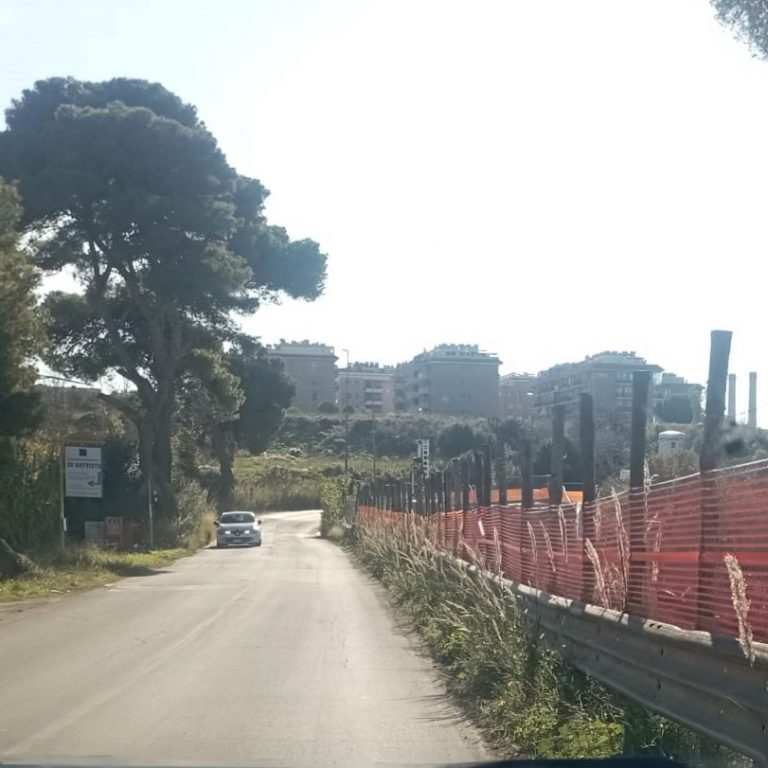 braccianese claudia cv