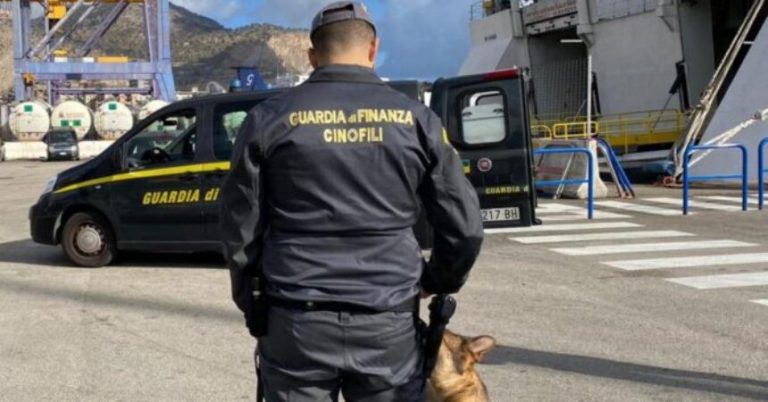 cane antidroga gdf cv