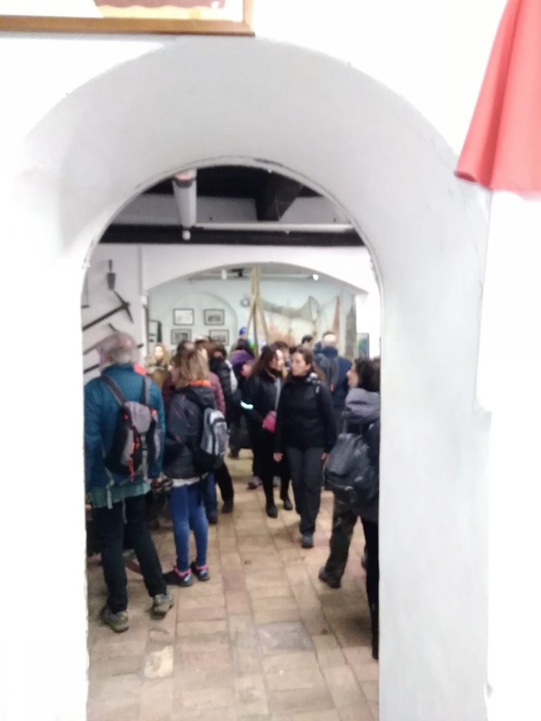 museo civiltà contdina anguillara