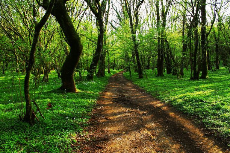 parco castelli romani