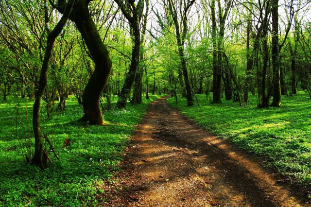 parco castelli romani