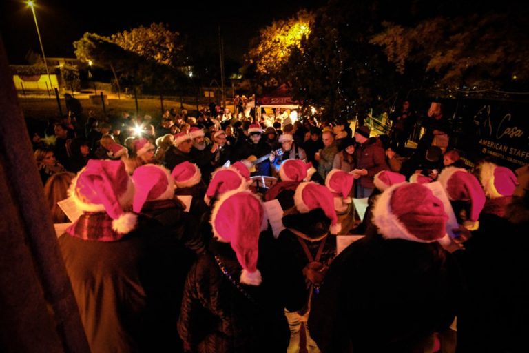 pastorelle cv bambini