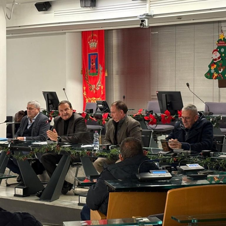 stati generali fiumicino aula consiliare