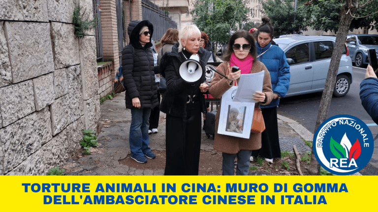 TORTURA ANIMALE SIT-IN DI REA DAVANTI ALL’AMBASCIATA CINESE_land