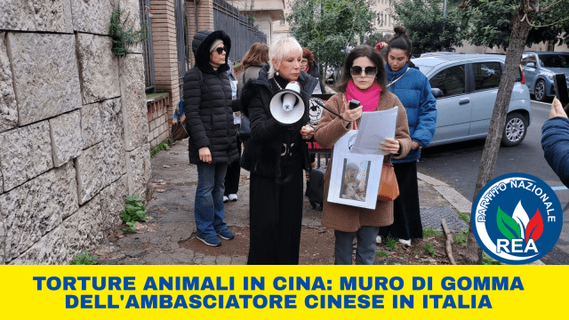 TORTURA ANIMALE SIT-IN DI REA DAVANTI ALL’AMBASCIATA CINESE_land