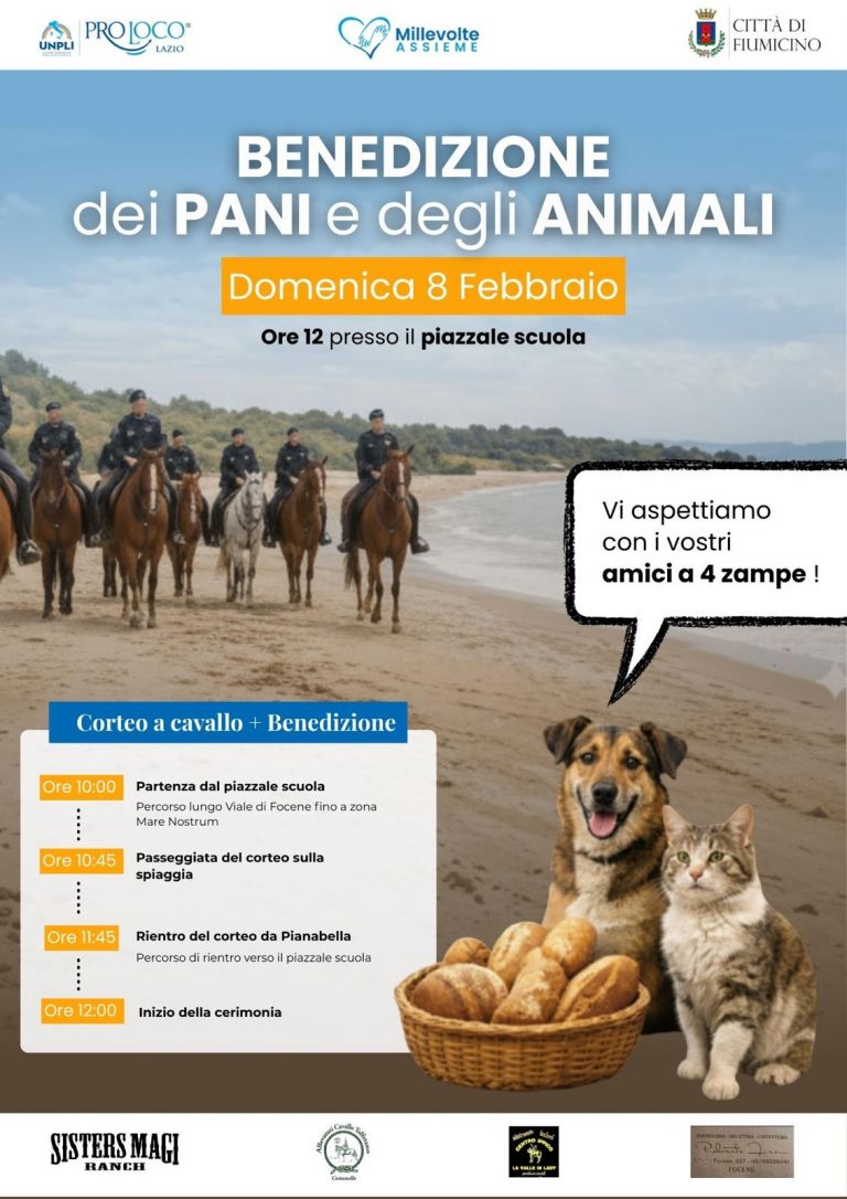 WhatsApp Image 2026-01-26 at 14.46.16