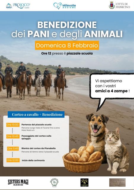 WhatsApp Image 2026-01-26 at 14.46.16