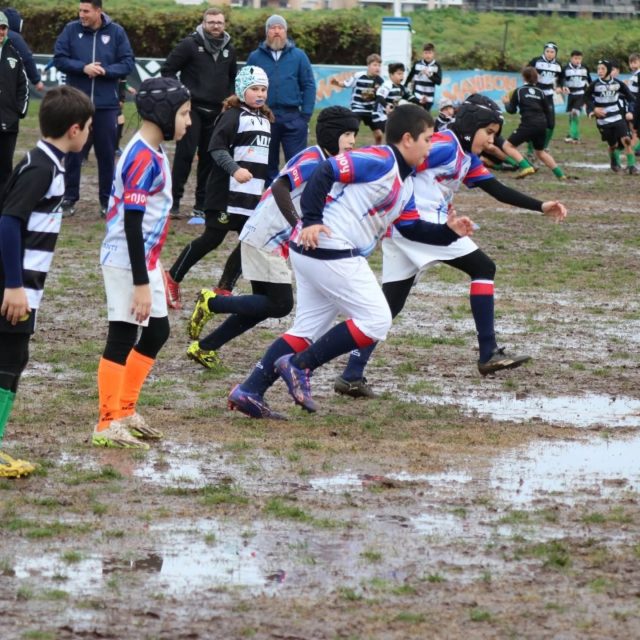 rugby