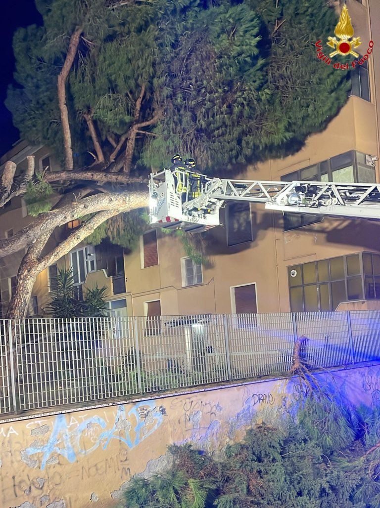 vigili del fuoco civitavecchia