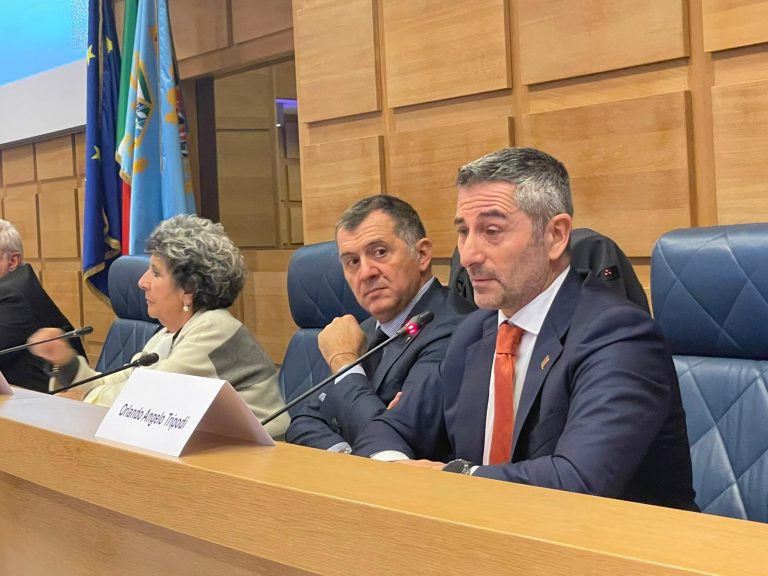 PRESENTAZIONE BANDO DISABILI 2