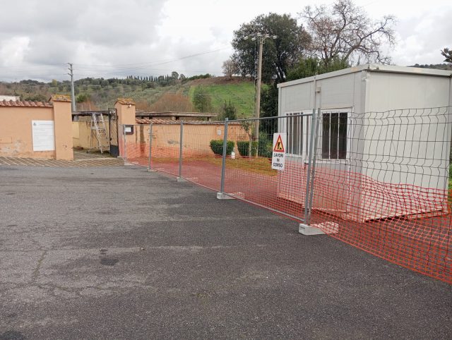 WhatsApp Image 2026-02-10 at 13.21.02