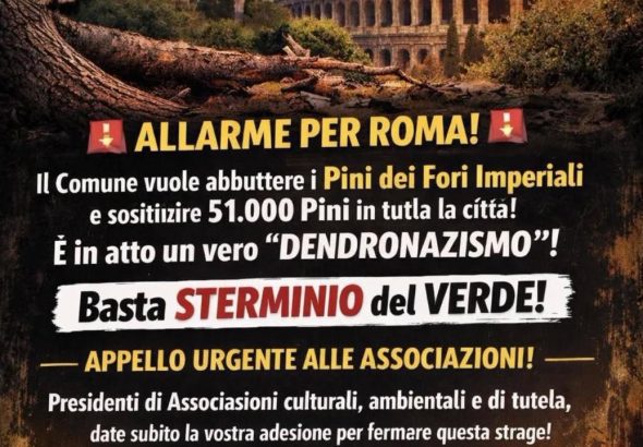 allarme per roma