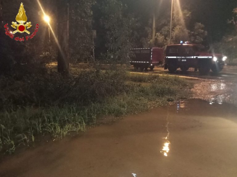 borgata aurelia allagata cv