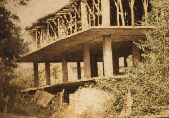 fungo santa marinella