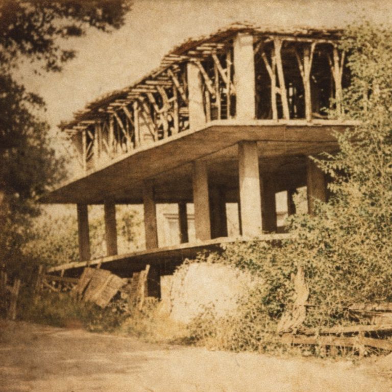 fungo santa marinella