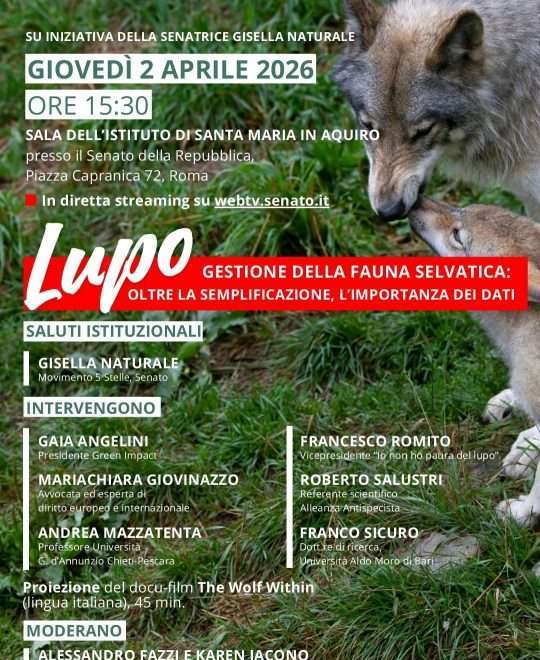 https://talkcity.it/fauna-selvatica-e-lupi-il-dibattito-arriva-al-senato-legambiente-al-centro-del-confronto/