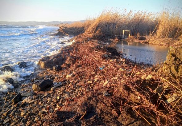 palude torre flavia ladispoli