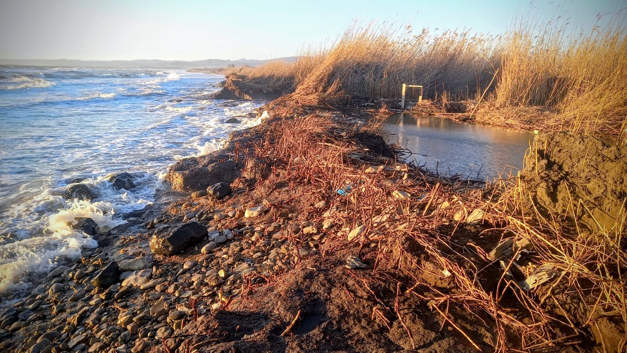 palude torre flavia ladispoli