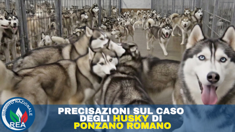 ponzano-romano-husky_Land