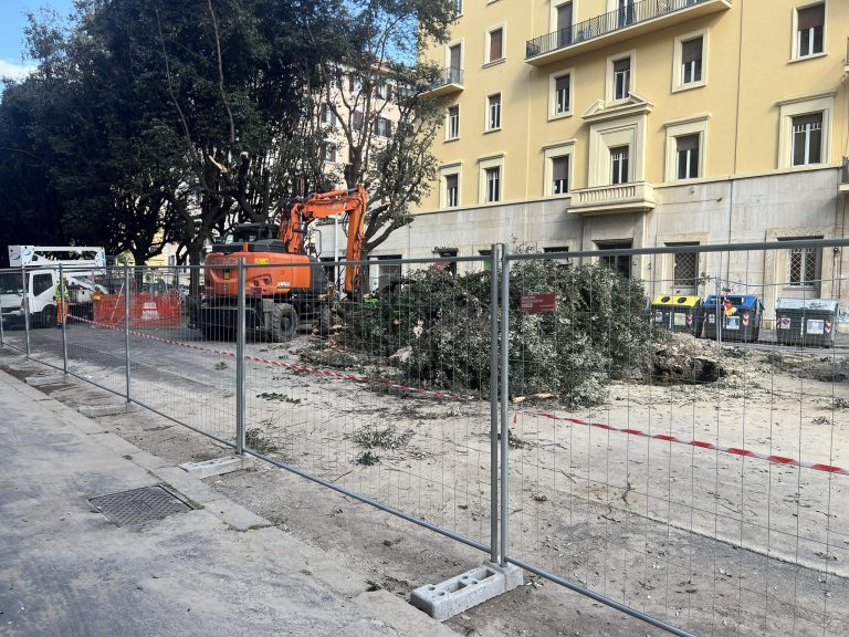 roma alberi quartiere prati