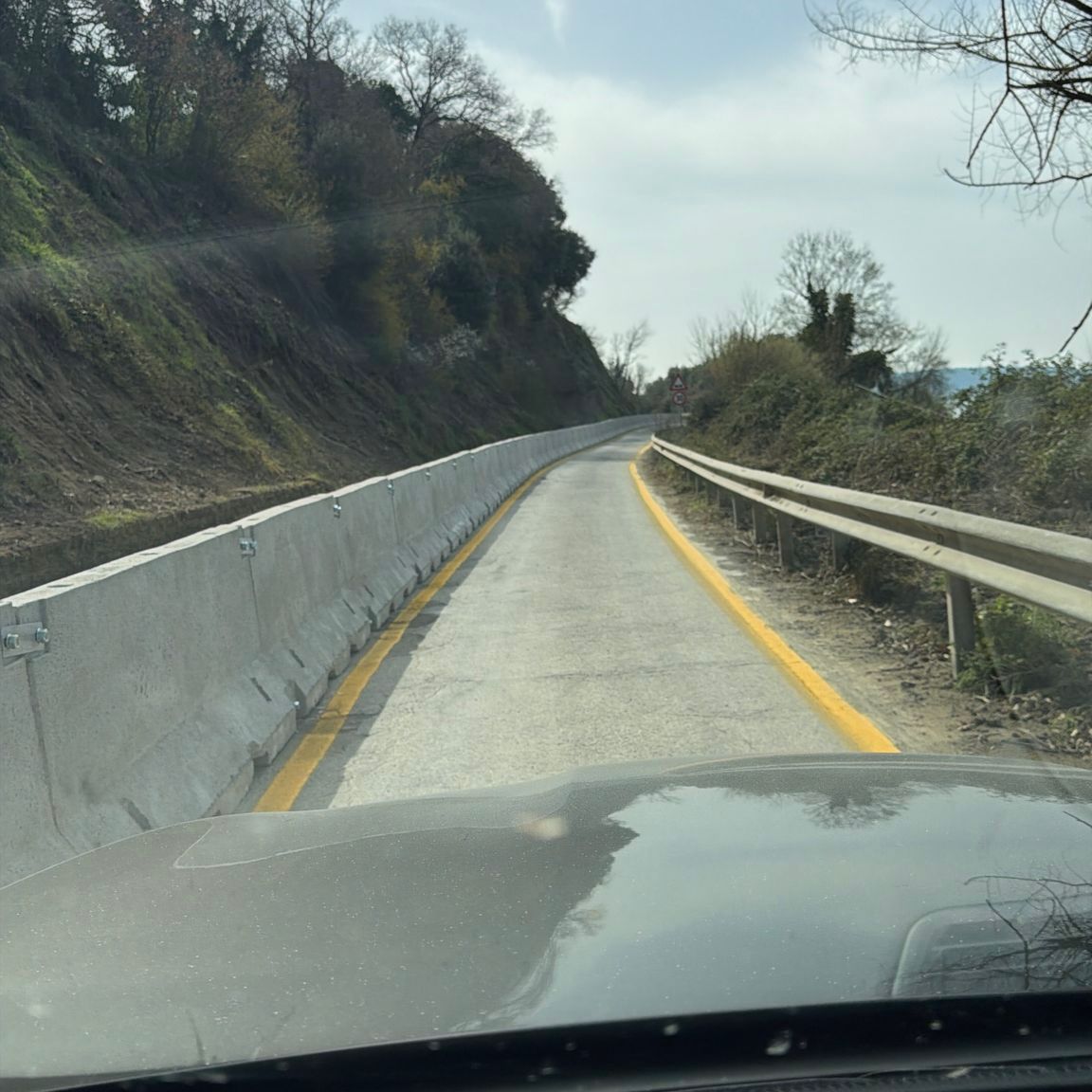 settevene anguillara 1