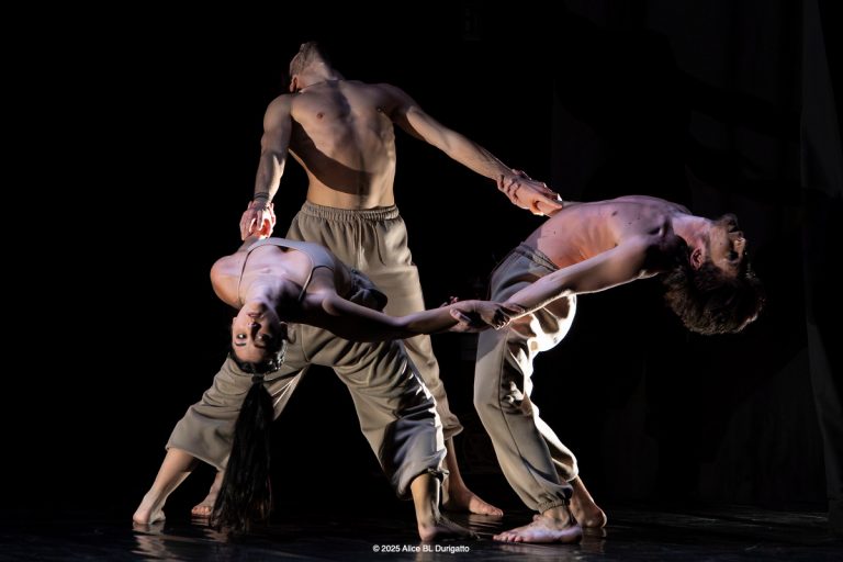 Foto © 2026 Alice BL Durigatto