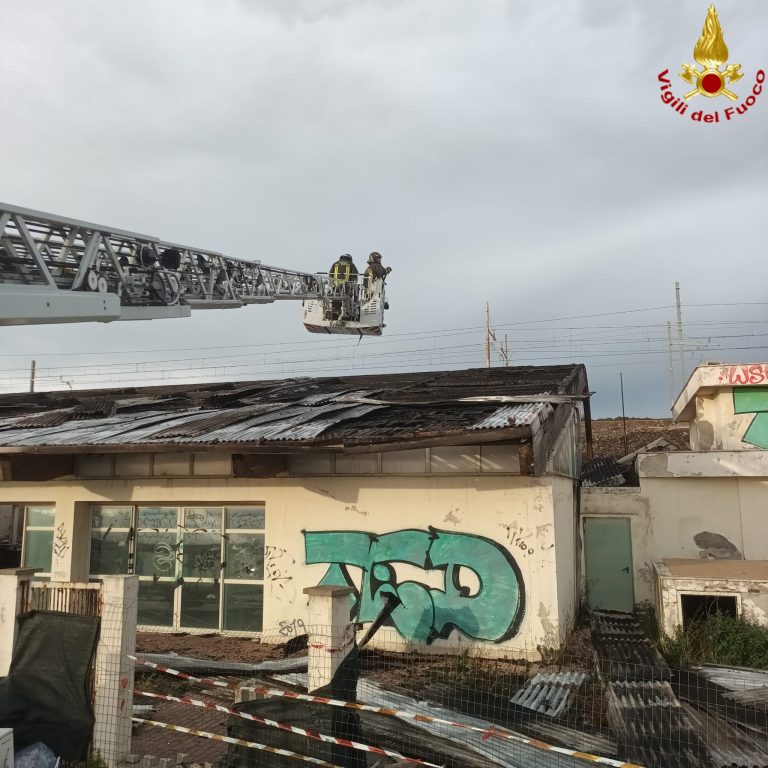 WhatsApp Image 2026-04-01 at 11.49.16