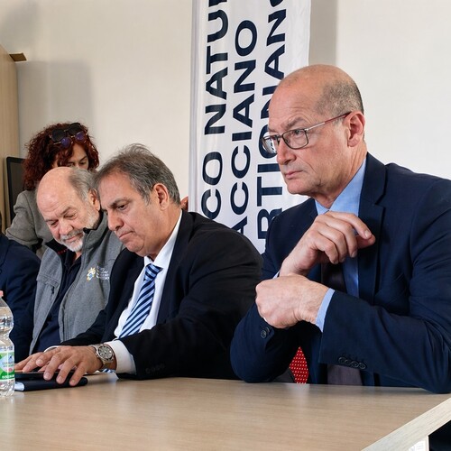 iacomelli sabatini parco braccia