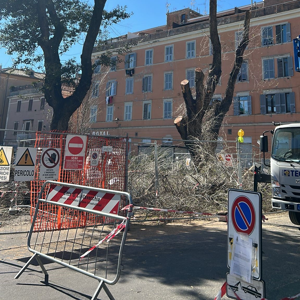 mercato regina margherita CV