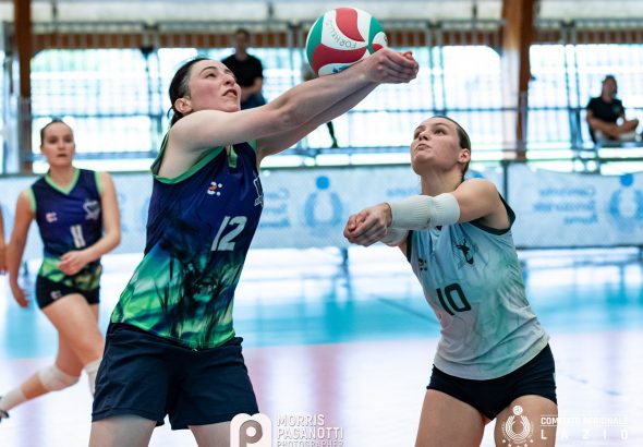 rim serie c repertorio (1)