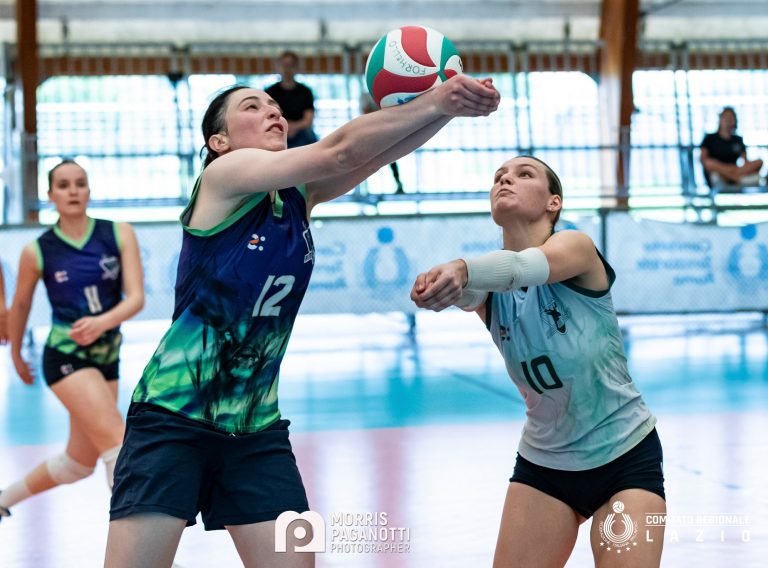 rim serie c repertorio (1)