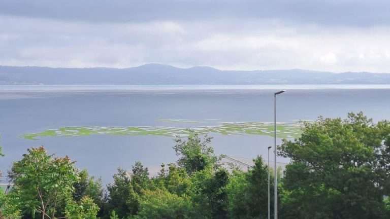 macchina nel lago