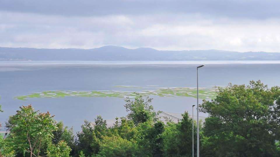 macchina nel lago