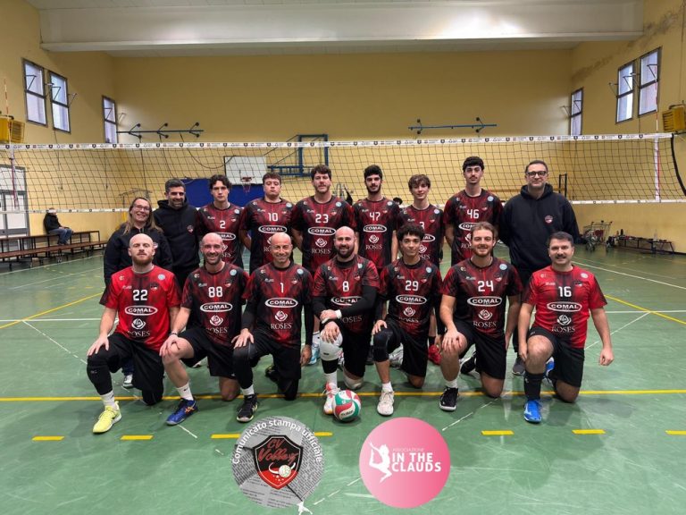 volley cv