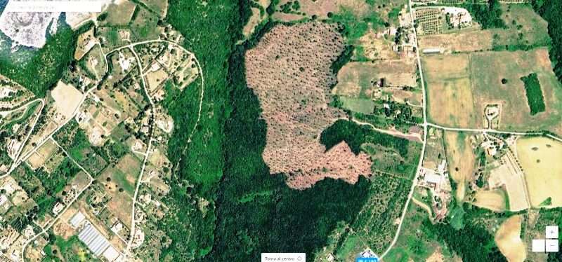 Bosco delle Guardiole 2