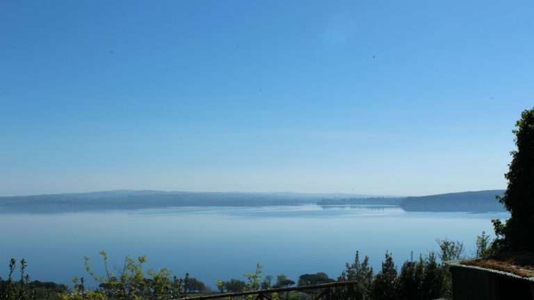 lago per articolo negretti