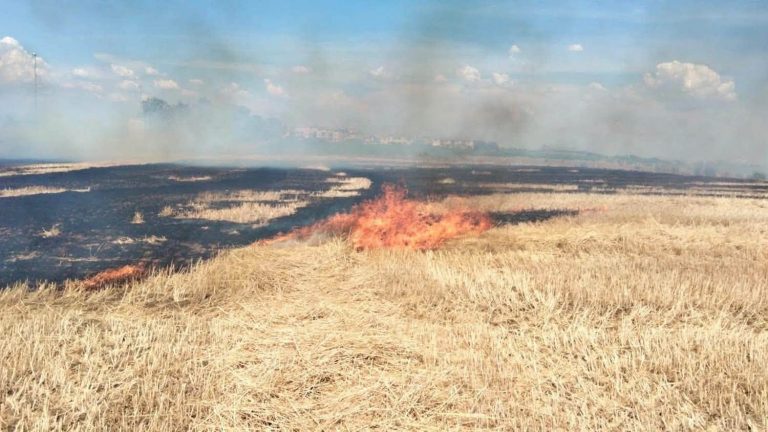 incendio montalto