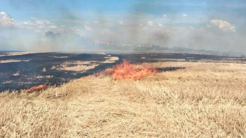 incendio montalto