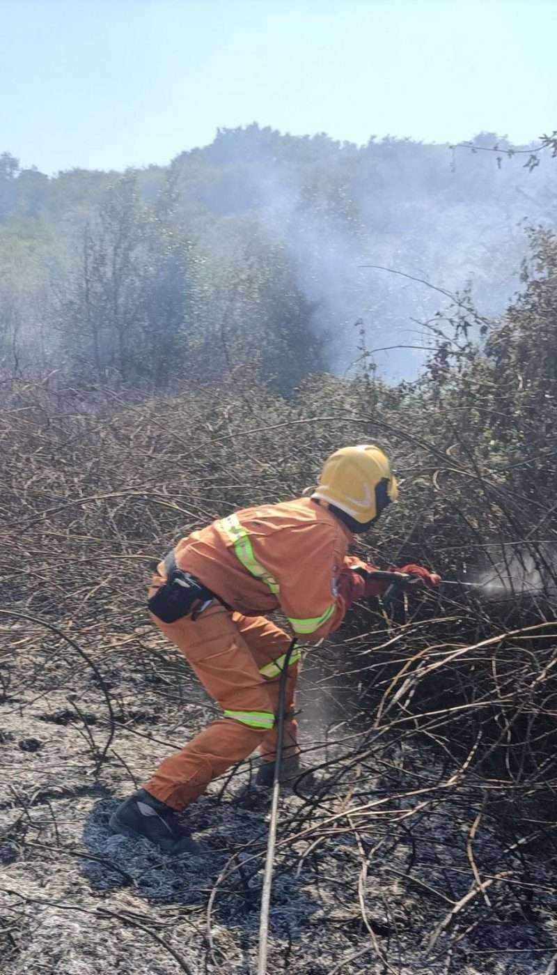 incendio zona lago 2