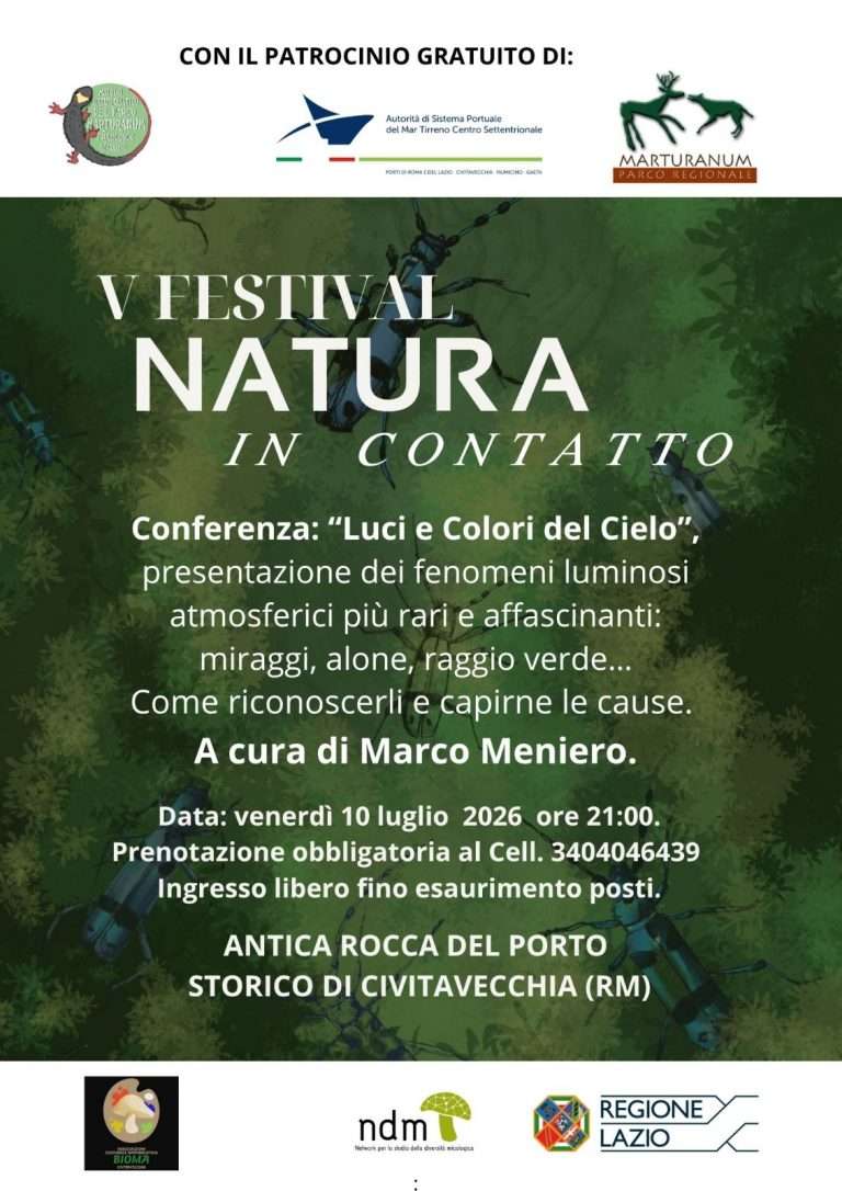 mostra sulle tombe etrusche: sette capolavori riuniti