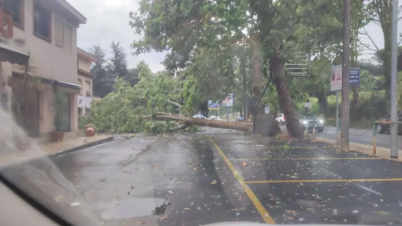 Lago di Bracciano. Maltempo: alberi caduti, treni in ritardo e blackout