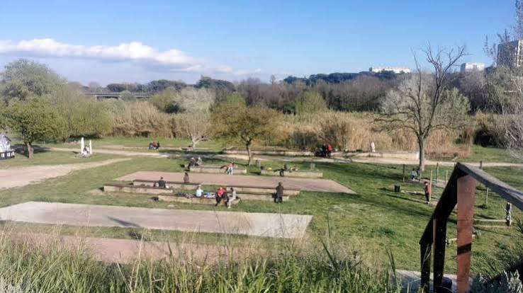 Parco del Tevere, sfida verde per il futuro
