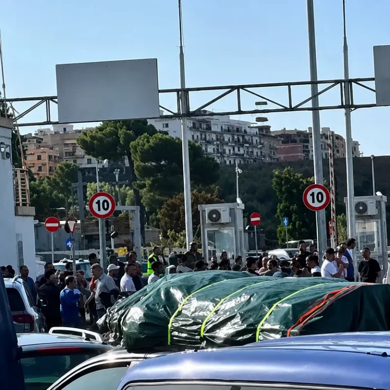 porto cv tunisini