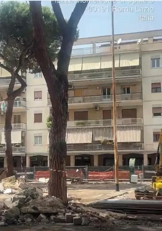 roma verde collina fleming
