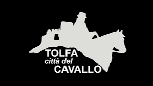 tolfa
