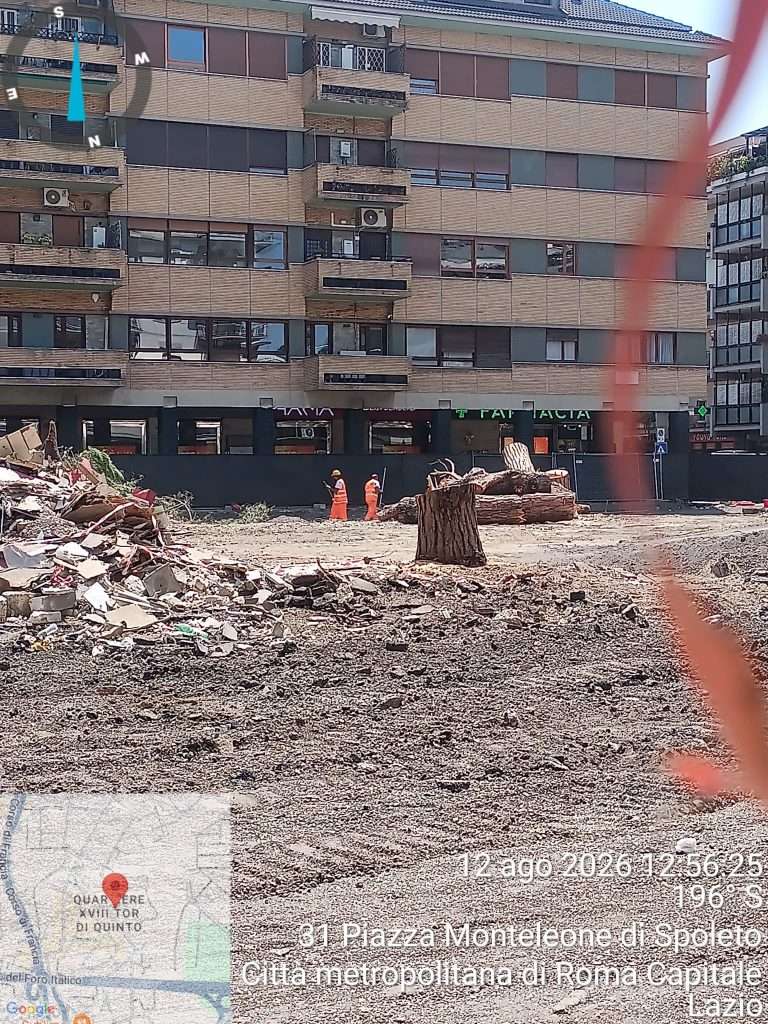 Roma Piazza Monteleone, alberi abbattuti dalle motoseghe