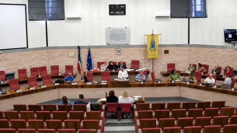 consiglio CV opposizione fuori